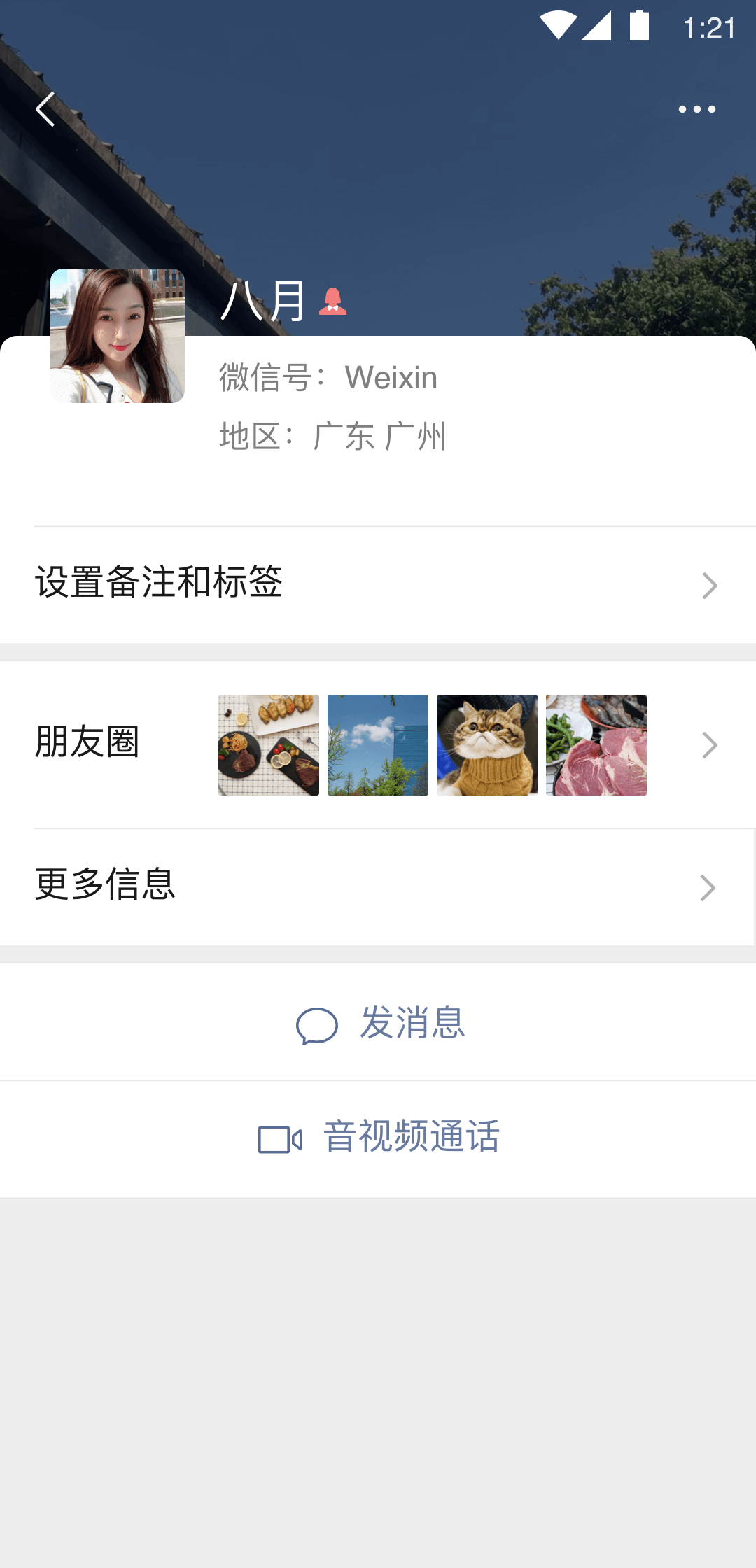 不怨过往不盼未来小说截图